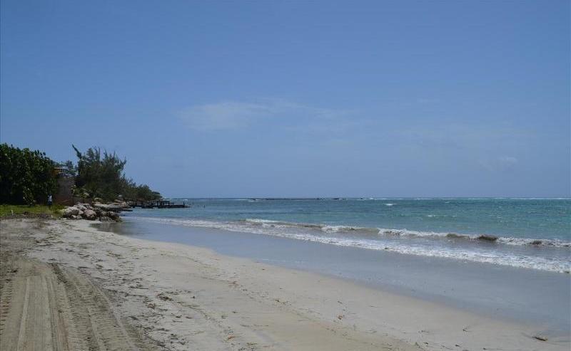Ocho Rios Under The Palms Villa Exterior foto