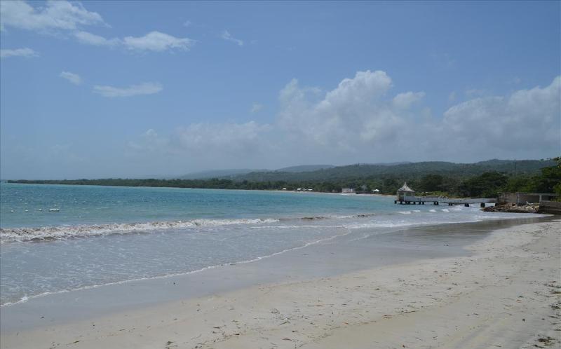 Ocho Rios Under The Palms Villa Exterior foto